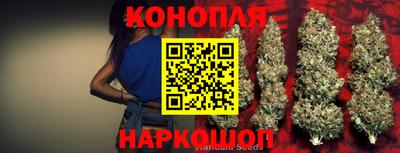 МДПВ Ярославль